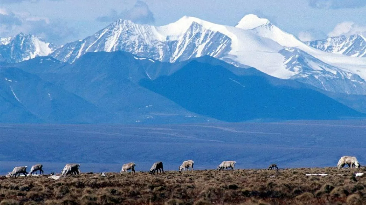 Federal report says Arctic just had its warmest year ever, heating twice as fast as global average