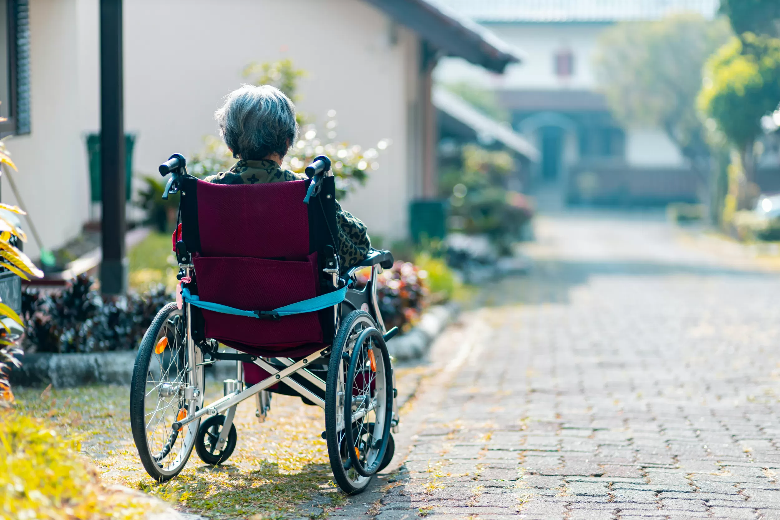 Is It Normal Aging or Early Dementia? Key Memory Loss Causes and Alzheimer's Early Signs to Watch For