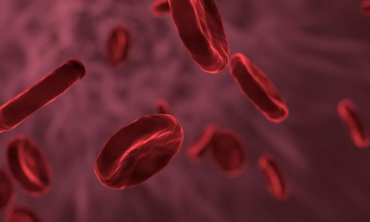 High Triglycerides Causes Explained: How They Impact Cholesterol Levels and Raise Heart Disease Risk