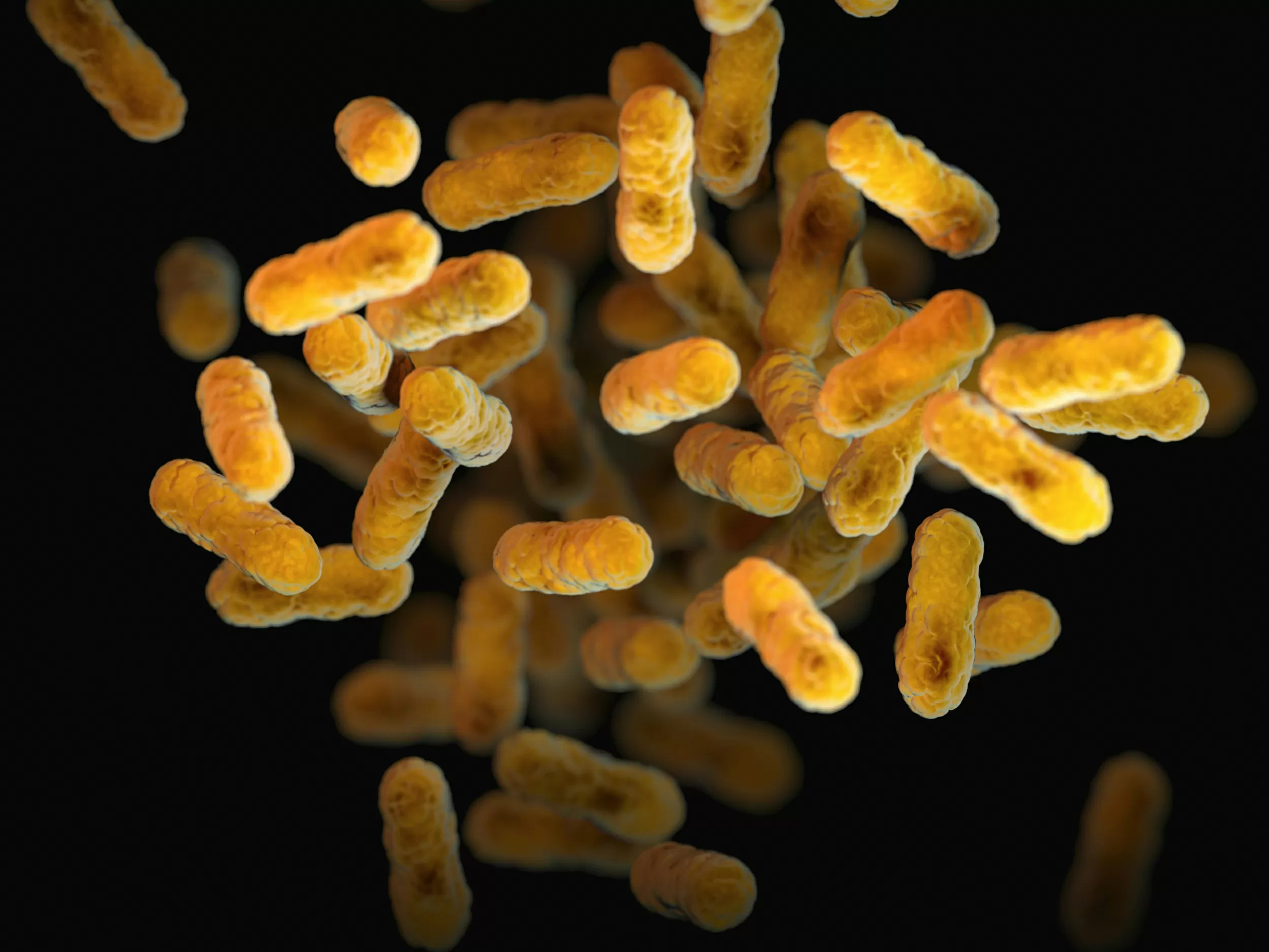 How the Gut Microbiome and Gut-Brain Connection Control Immunity, Mood, and Energy