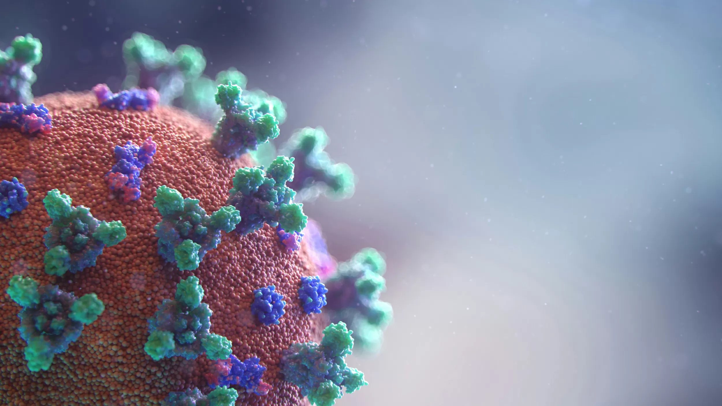 Why Norovirus Is Spreading Faster Than Ever: The Rise, Symptoms, and Viral Gastroenteritis Risks"