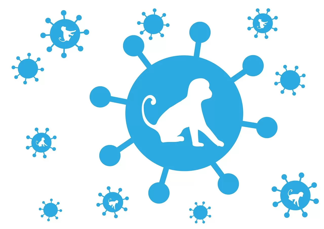 Monkeypox Symptoms in 2026: New Mpox Signs and How to Spot the Contagious Rash