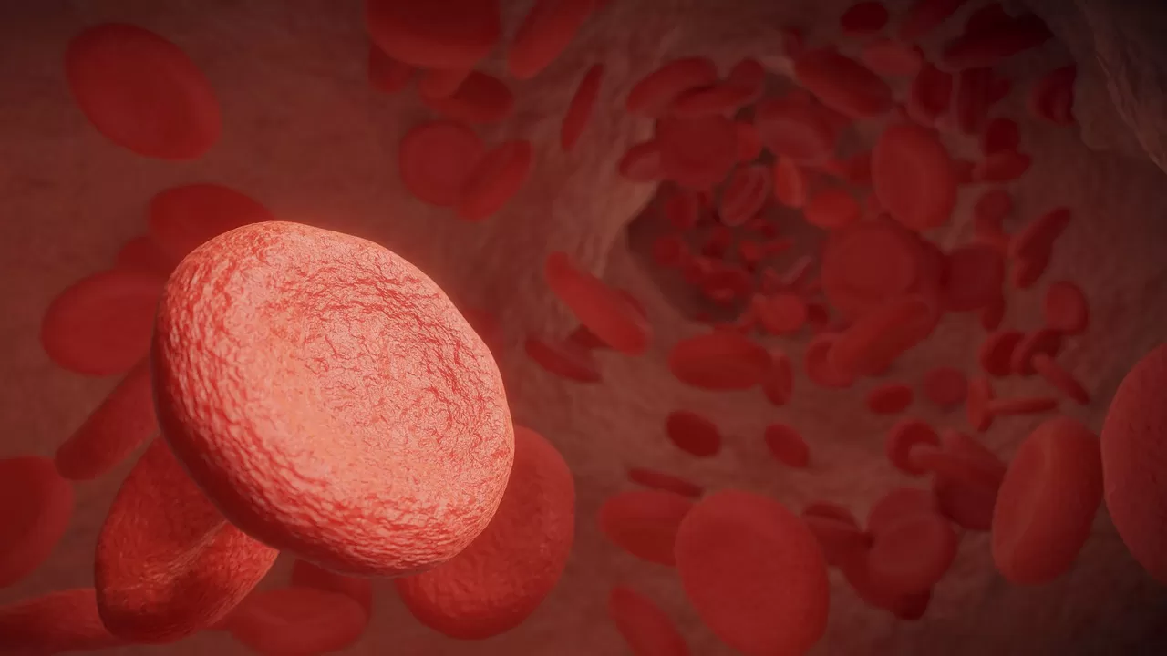 Coronary Artery Disease Symptoms and Blocked Arteries: The Warning Signs That Save Lives