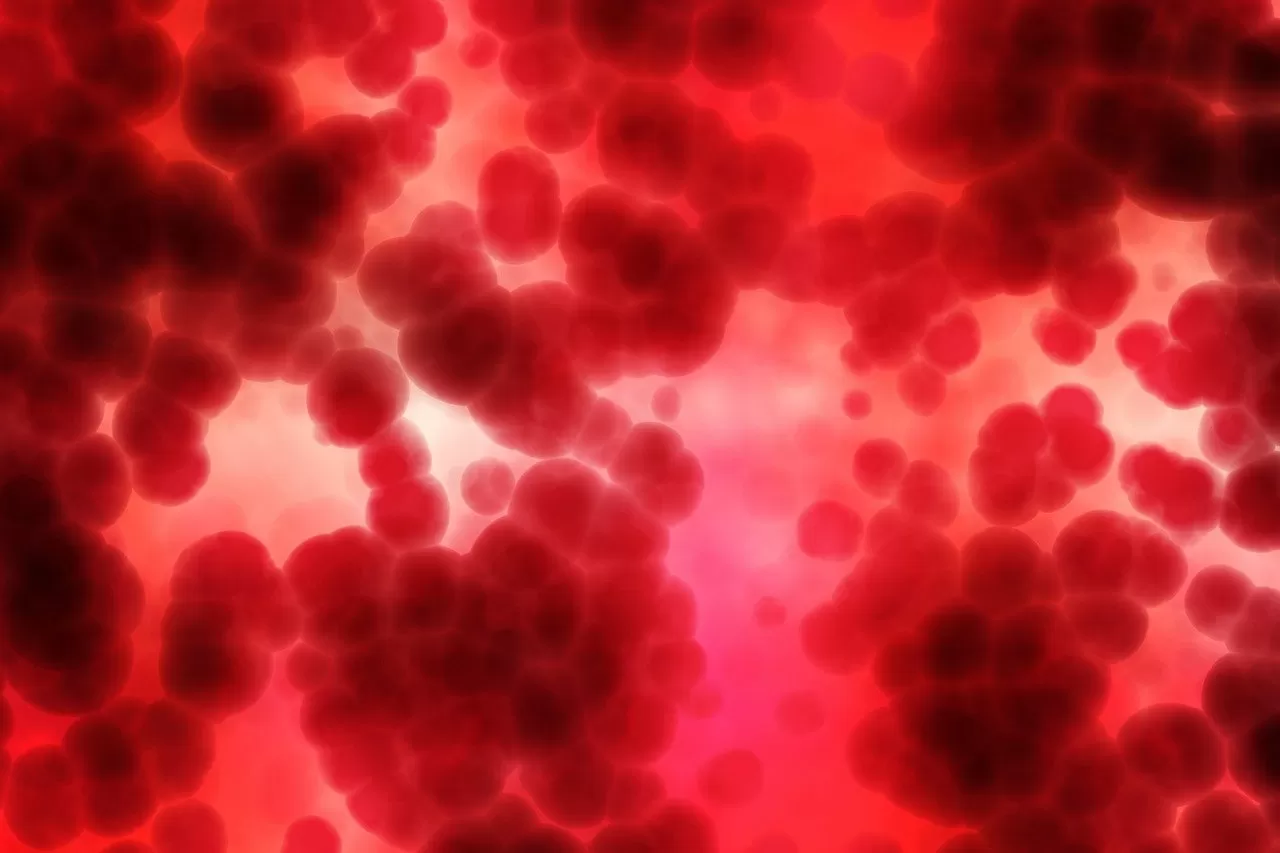 How Blood Sugar Control Shapes Metabolic Health and Longevity