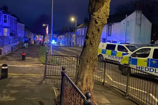 Man arrested after incident in Welsh park