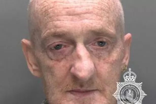 Child attacked by XL Bully dog while owner 'did nothing to help'