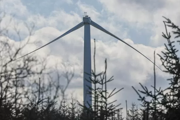 Blade falls from giant 475ft wind turbine in popular Welsh forest